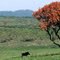 South Africa : Santa Lucia
