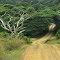 Off the beaten track