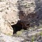 Terlingua Sink Hole