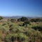 Near Blyde River