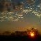 Sunset over Timbavati