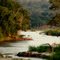 Bushveld Evening - Olifants North Game Reserve