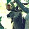 Scan000084a