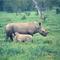 Scan000105