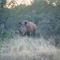 Scan000108