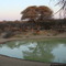 Kudu at mogol