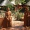 Welcome to the Venda Vilage