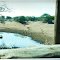 IMPALAS In Swartwater