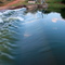 Vaalkop Dam Drif below stream