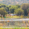 Fishing at Vaalkop Dam