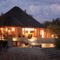 Izungla at Bushwillow (eve)