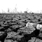 Drought 04, Summer 2006