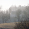 Farm in Piney Flats, TN