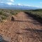 Rooiberg pass