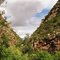 1999, in the Bosrivier kloof.