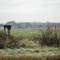Aston Villa's training ground at Bodymoor Heath from the B'ham and Fazeley Canal