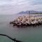 Cormorants @ Robben Island