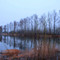 长治湿地 Changzhi Wetland