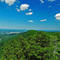 Eastward from the Bays Moutain Fire Tower