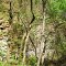 Old Rock Quarry, Bays Mountain Park