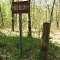 Feagins Gap, Trail Markers at Intersection, Bays Mountain Park