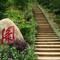 广西壮族自治区 梧州市 白雲山景區 曼陀羅花園（茶花）小路 By 杜友