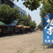 龙田街道