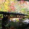 A Bridge to Fall