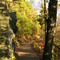 Laurel Falls Trail