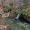 A Skiff of Snow in the Enchanted Forest