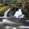 Panorama of Mannis Branch