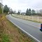 Down the road