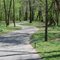 The Springfield Greenway
