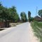 Country road