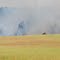 Grass Fire
