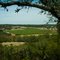 Driftwood Estate Winery & Vineyard, Driftwood, Texas