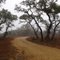 Misty Hill Country Back Road