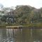 Looking across the Bayou