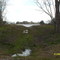Chenango Lake (large pond)