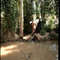 Irrigation