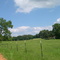 DSCN1080