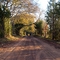 DSCN3433