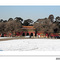 沈阳东陵（福陵）fu cemetery of Shenyang