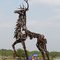 Big Stag