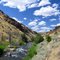Jarbidge Canyon Wilderness Entrance - Tom Askew