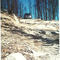 Back Country