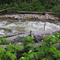 Johnson Creek in West Central Idaho