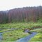 DANCES OF BOULDER RIVER,MONTANA,USA