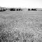 Brandy Station Battlefield/Union Right Flank