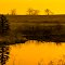 On Golden Pond